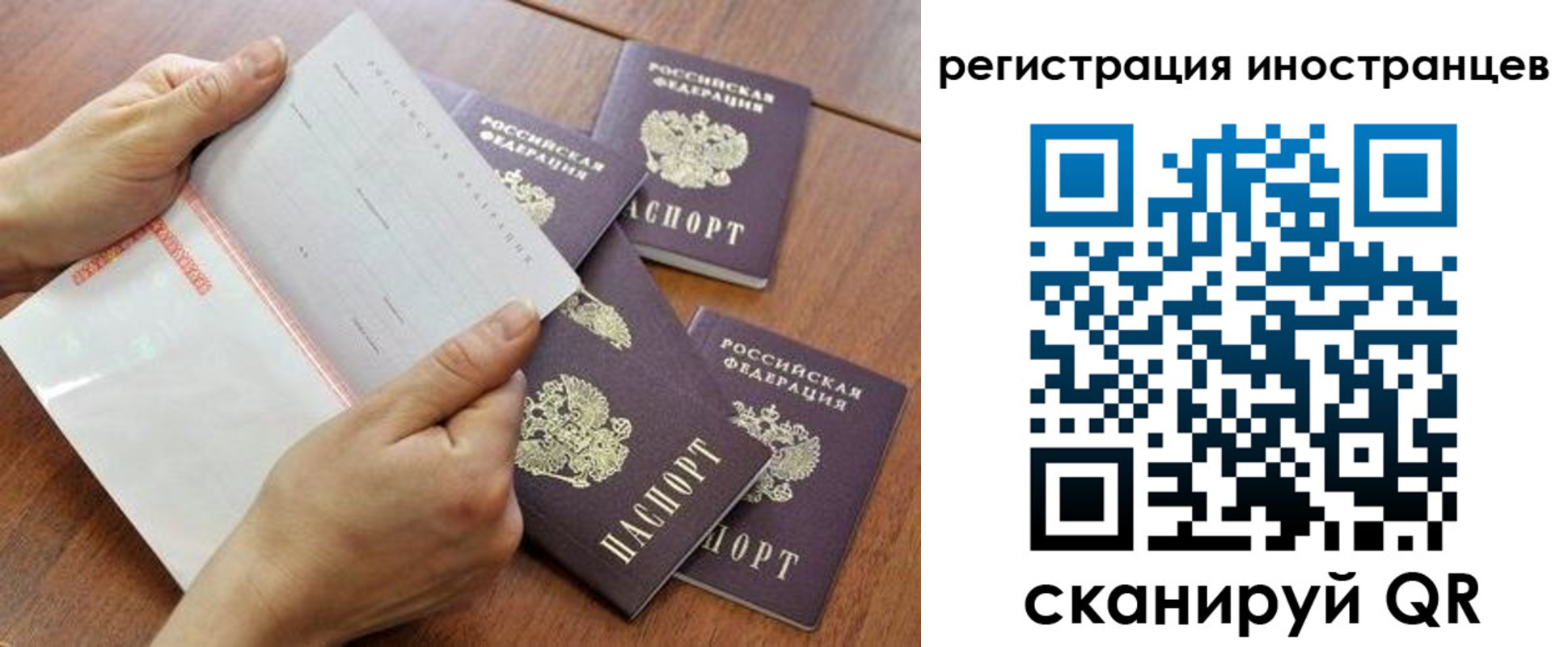 прописка поиск в Бакале